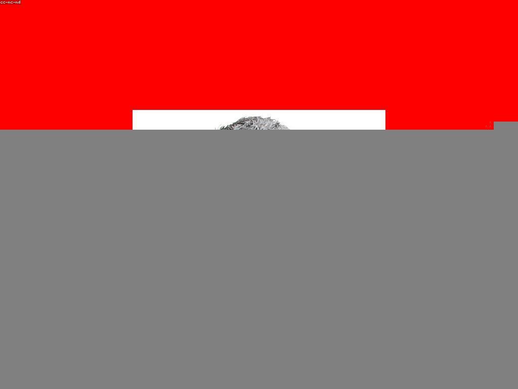 យុទ្ធសាស្ត្រសម្រាប់ការប្រកួត និង ការស្នាក់នៅ