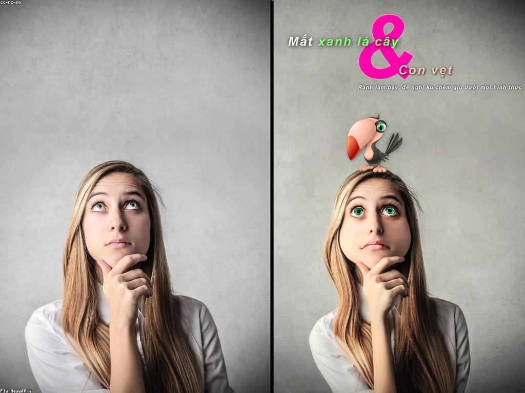 ការអភិវឌ្ឍន៍អាជីពនៅក្នុងសង្គមខ្មែរ