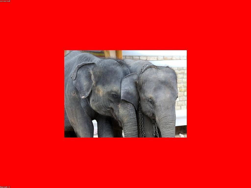 វិធីសាស្រ្តដើម្បីពង្រីកមិត្តភាព