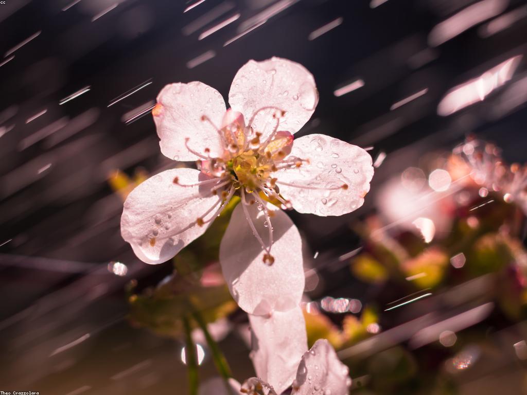 អាជីព និងការងារជាមួយសមាធិភាពក្នុងជីវិត